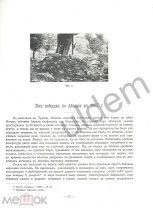 Из поездки по Адхазии в 1907 г А Миллер (1910) Статья. блок