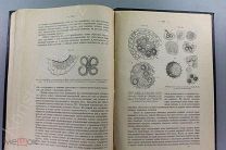 [Первый в России учебник, Редкость!] Физиология растений 1887 г! А.С. Фамицын!!