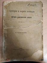 Сухоручкин И. Артерии и нервы лошади и артерии конечностей собаки. Атлас. 1900
