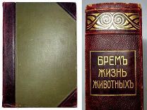 RRR = КАБИНЕТНОЕ ИЗДАНИЕ = БРЭМ = ЖИЗНЬ ЖИВОТНЫХ = ПТИЦЫ = 1911 = ДОП ФОТО 40 ШТУК В ОПИСАНИИ К ЛОТУ