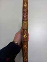 Редчайшее издание«Народное гулянье в пользу бедных. (Из хроники происшествiй)», автора Львова А.Д.