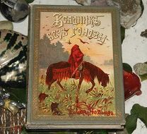 Майн Рид Всадник без головы изд. вольф 1900е (редкая)