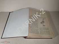 ! Старинная книга с гравюрами Птицы. Д1/П5