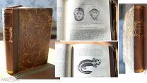 1901 учебник зоологии Боас Германия немецкий язык. Boas Zoologie Лейпциг. Антикварная книга. Сохран