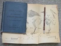 1896 Программы и наставления для наблюдений собирания коллекций геология зоология ботаника