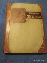 Антикварная книга «Наши домашние животные» 1911 г.