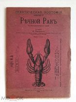 Беркос П. РЕЧНОЙ РАК. 1905г. Издательский! Коллекционное состояние!