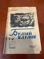 Нечаев, И. Белый карлик