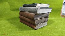 5 дореволюционных книг одним лотом, Пушкин, Лермонтов, Толстой,!