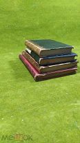 4 дореволюционные книги одним лотом, Достоевский, Гоголь и др.!