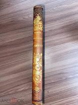 1866 УКРАШЕНИЕ КНИЖНОЙ ПОЛКИ Альпийские ледники ИЛЛЮСТРАЦИИ