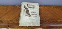 Книга «Птицы земного шара». Изд. В.М. Саблина, 1912г. vz