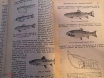 Антикварная книга сельское хозяйсто подшивка Крестьянское дело Сельский вестник все сферы с/х 1909 г
