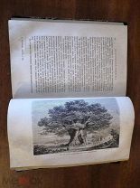 Антикварная книга ЖИЗНЬ РАСТЕНИЙ в 2 частях Фигье 415 рис Всемирный путешественник СПб Ильин 1870 г.
