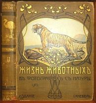Жизнь животных в фотографиях с натуры. 1909