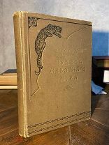 1913 185 рисунков Шишкина, Мютцера, Шпехта и др Чудеса животного мира