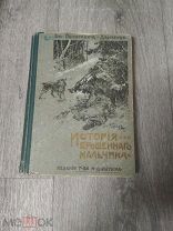 Детская книга Немирович-Данченко В. И. История брошенного мальчика.1912 год.