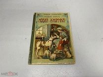 Книга «Новая жиличка» Клавдия Лукашевич 1910 г. 00