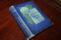 Приключения Финна.Сочинение Марка Твена с 172 рисунками в тексте изд.Суворина 1896 год.