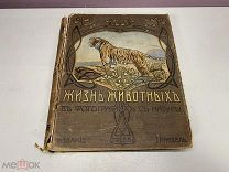 Жизнь животных в фотографиях Кнебель Россия до 1917