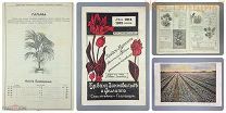 Прейскурант каталог цветочных растений 1914 Модерн Розы Тюльпаны Голландия реклама до 1917 Россия