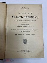 Маленький Атлас Бабочек Ф. Берне 1913 год.!