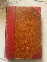 Страхов Критические статьи об И.С. Тургеневе и Л.Н. Толстом 1887г в Петцмане! РЕДКОСТЬ