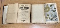 Словарь травник-цветник. Петровской, Залесовой. 1898 год.