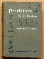 Книга антикварная PRARIETIERE UND IHRE SCHICKSALE Ernest Seton-Thomson 1910 год ОРИГИНАЛ