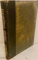 [Симпатичный переплёт] Н. Михайловский. Из романа «Карьера Оладушкина». 1906.