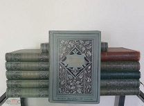 [Комплект] М.Е. Салтыков [Н. Щедрин]1900 год Полное собрание сочинений. Тома I-XII (в 12 переплётах)
