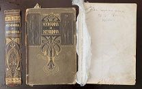 «Мужчина и женщина» 1896 год. том 1