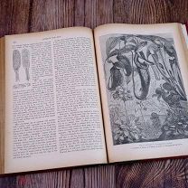 ! Science For All. 1903 г. На английском языке
