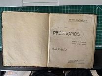 Книга 1908 год. Петер Альтенберг. Prodromos. Проборомос.
