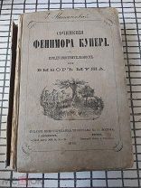 Фенимор Купер. Предусмотрительность или выбор мужа. 1876