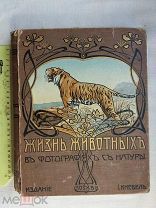РАСПРОДАЖА редкий ЖИЗНЬ ЖИВОТНЫХ в фотографиях с натуры зоология ЦАРСКАЯ книга № 35