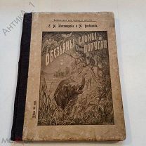 Книга-брошюра «Обезьяны, слоны и попугаи» 1914 г.