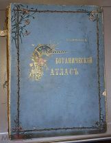 Книга К. Гофман Ботанический атлас, издание второе, 1899 г. 80 хромолитографированных таблиц