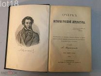 Посвящается памяти великого поэта А.С.Пушкина.Очерк истории русской литературы.1899год.
