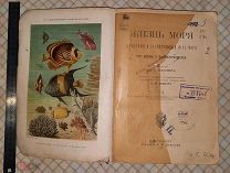 Книга «Жизнь моря. Животный и растительный мир моря, его жизнь и взаимоотношения.»1897 г.