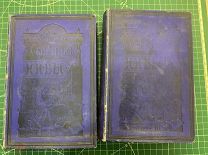Сборник Нивы на 1893 год. Ежемесячное приложение к журналу Нива. С.-Петербург, 1893 том 2и 3