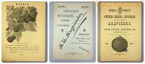 Прейскурант ФРУКТЫ кустарники Андриенко 1900 Екатеринодар Кубанская область сады реклама до 1917