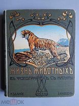 Жизнь животных в фотографиях с натуры. Том 2. Чарлз Д. Корниш. Изд. Кнебель, 1906.