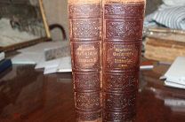 Г. Карпеле Общая история литературы от ее истоков до наших дней в 2-х томах 1891 год.На немецком