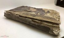 Ведомость Тверской Епархии Осташковского Уезда село Кравотыни. 1891-1897 год.!
