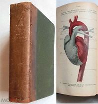 [ Более 500 цвет. и ч/б ил.] Бумм, Е. РУКОВОДСТВО К ИЗУЧЕНИЮ АКУШЕРСТВА.1907. Знаменитое изд. Приж.!