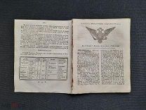 САНКТ-ПЕТЕРБУРГСКИЕ ВЕДОМОСТИ от 20 ноября 1789 года ПРАВЛЕНИЕ ЕКАТЕРИНЫ II Спб - Оригинал