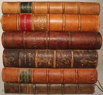 Женская Осень. Антикварная Французская Книга 1893 года 19 века. Кожа с Золотым Тиснением.