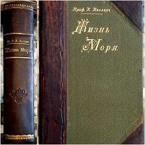 Келлер. Жизнь моря: Животный и растительный мир моря, его жизнь и взаимоотношения.1905г.