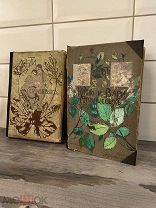 Шикарные книги «Дети Солнцевых» и «Юность Кати и Вари Солнцевых»